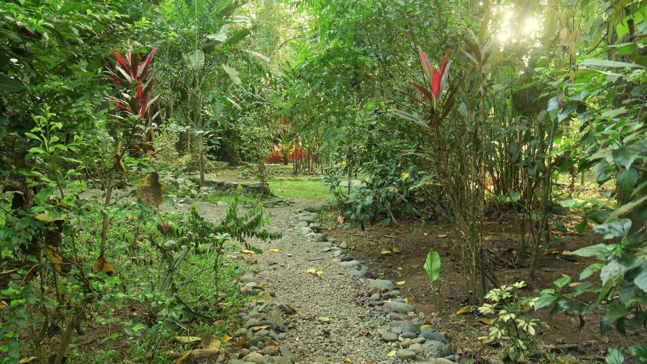 Bed and Breakfast Casa Moabi Cocles Exterior foto