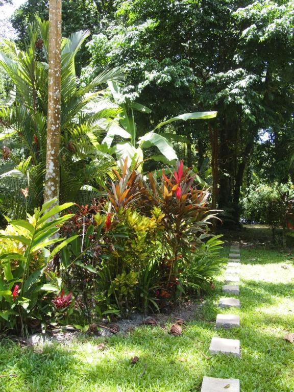 Bed and Breakfast Casa Moabi Cocles Exterior foto