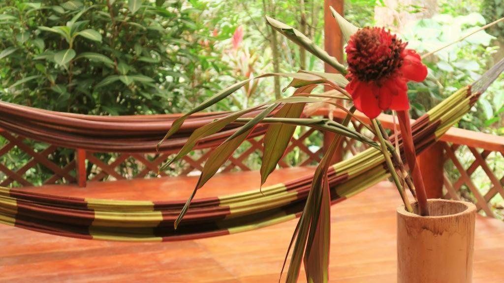 Bed and Breakfast Casa Moabi Cocles Exterior foto