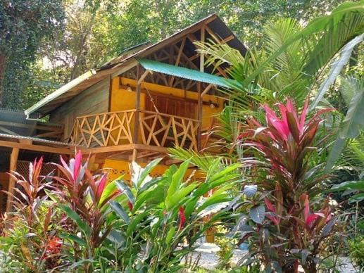 Bed and Breakfast Casa Moabi Cocles Exterior foto