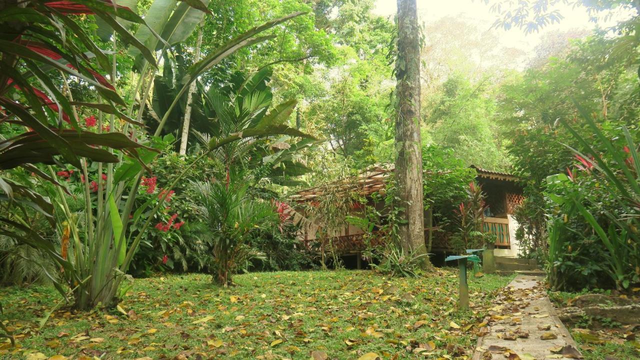 Bed and Breakfast Casa Moabi Puerto Viejo de Talamanca Exterior foto