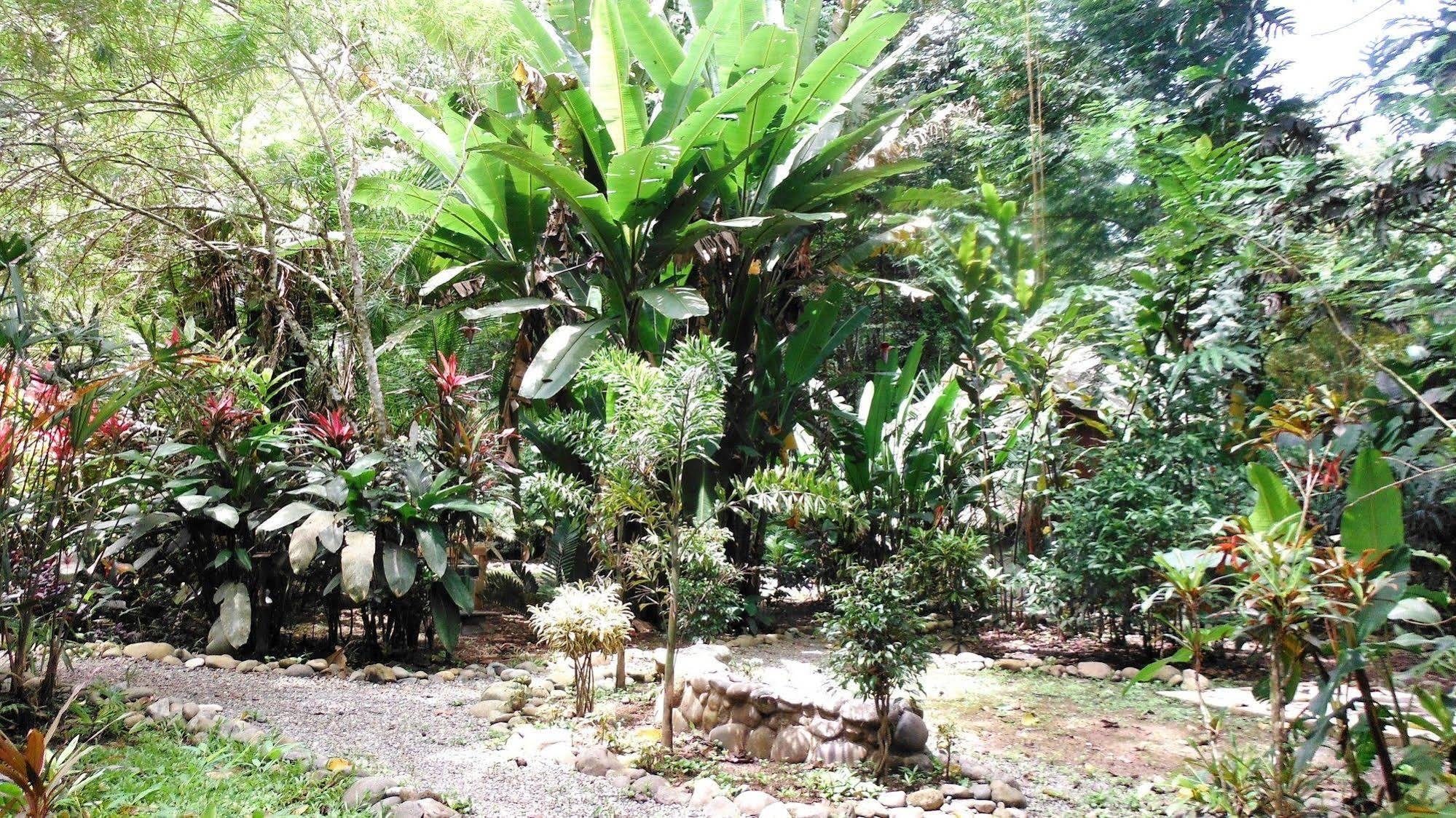 Bed and Breakfast Casa Moabi Cocles Exterior foto