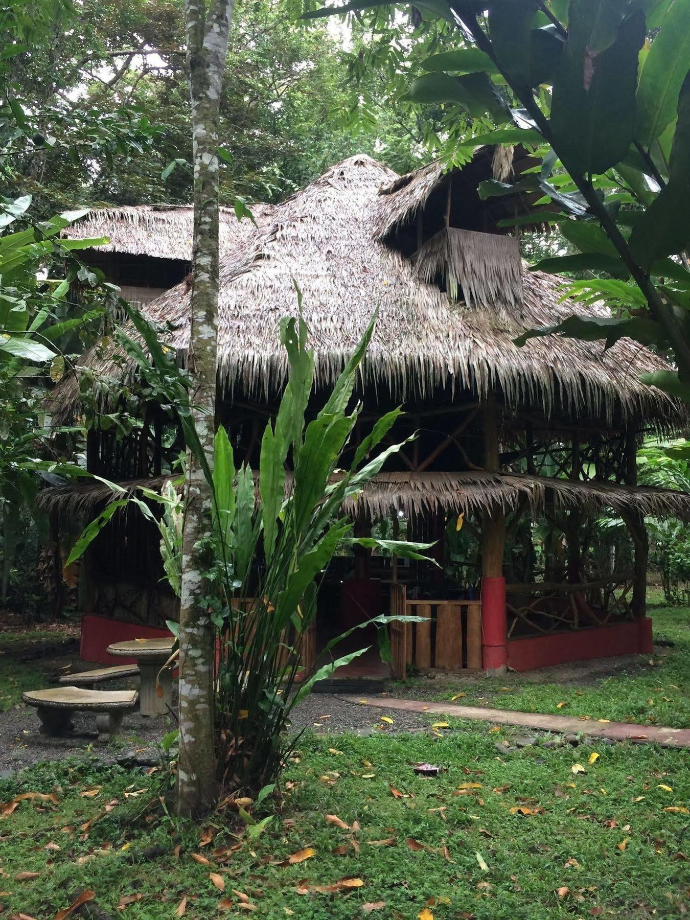 Bed and Breakfast Casa Moabi Cocles Exterior foto