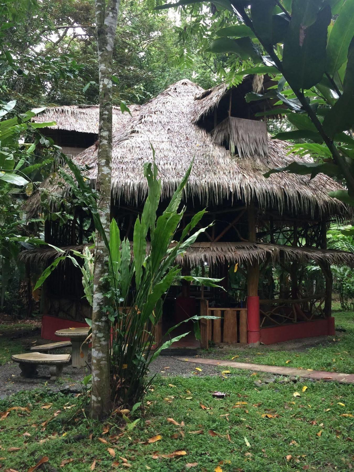 Bed and Breakfast Casa Moabi Puerto Viejo de Talamanca Exterior foto